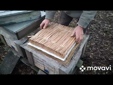 Видео: Утримання бджіл на великопольську рамку.Розпечатка. (ч. 4.)