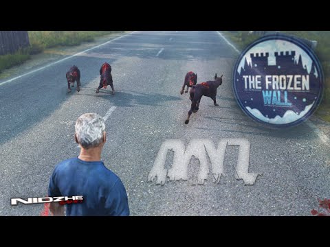 Видео: DayZ PVE ▶ Попытка выжить - The frozen Wall