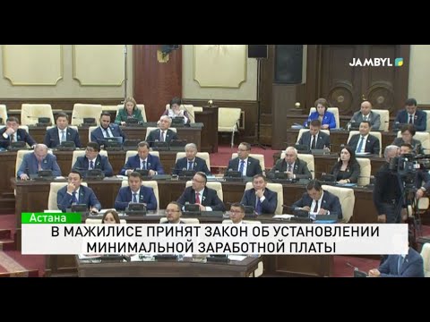 Видео: В Мажилисе принят закон об установлении минимальной заработной платы