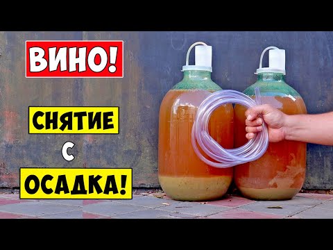 Видео: Снятие ВИНА с ОСАДКА! Когда и Как снимать вино с осадка?!