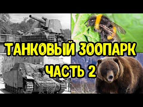Видео: В честь каких насекомых и животных немцы называли танки и САУ?