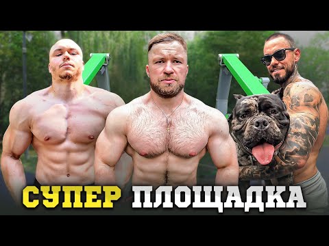 Видео: ТУРНИКИ И БРУСЬЯ - ЗАРУБА В ЭЛЕМЕНТАХ И ОТЖИМАНИЯХ