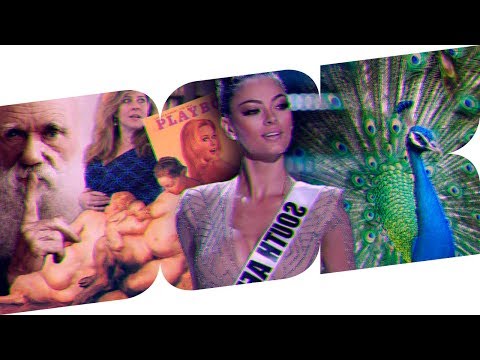 Видео: КРАСОТА