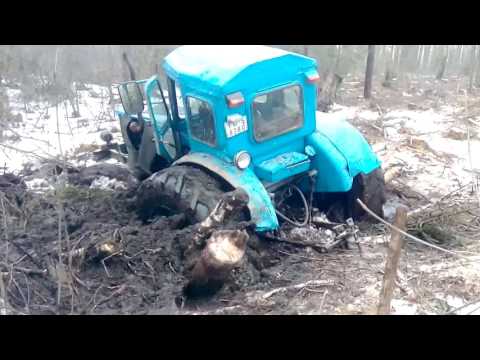 Видео: Утопил трактор т 40 в болоте