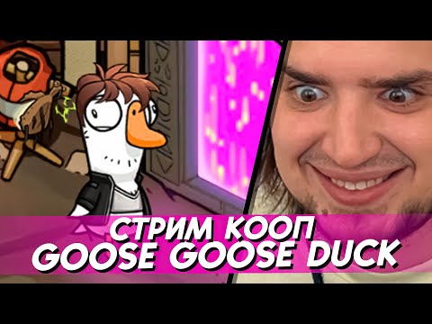 Видео: GOOSE GOOSE DUCK - СТРИМ КООП | ПОДПИШИСЬ НА БУСТИ ВСЕГО ЗА 49р