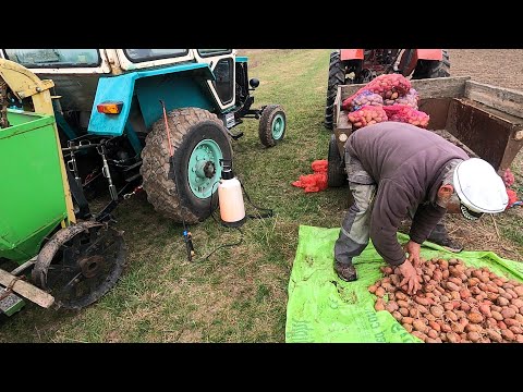 Видео: Один день работи селянина, посадка картоплі, весна 2025