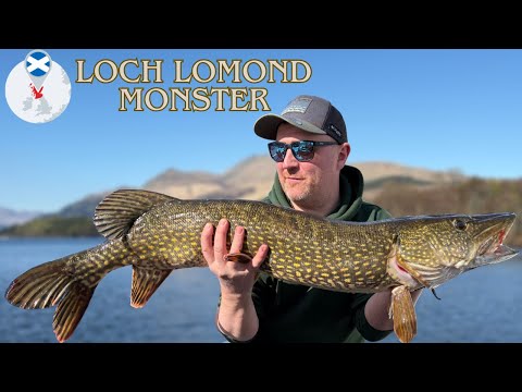Видео: Погоня за гигантской щукой в ​​потрясающем шотландском озере Лох-Ломонд