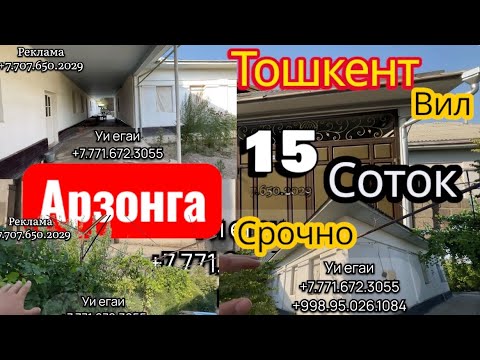 Видео: 🔥 АРЗОН ВА СРОЧНА САТИЛАДИ!🌟 БУ ИМКОНИЯТНИ КЎЗДАН ҚАЧИРМАНГ!🏡 15 сотих ер—фақат нархи $40.келишилади