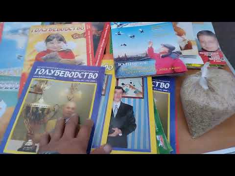 Видео: Ярмарка голубей Минск Беларусь  28 сентября 2025 г. Pigeon Fair, Minsk, Belarus