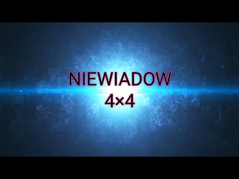 Видео: Генератор для прицепа NIEWIADOW 4×4N126N.