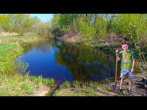 Видео: Пруд на даче весной! Куча рыбы и растений в пруду! Открыл купальный сезон!