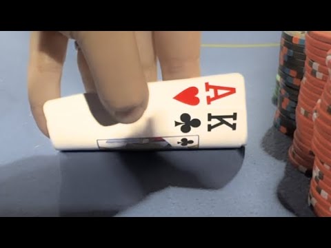 Видео: Я ставлю Florida Man на ВСЕ! (4400 долларов)