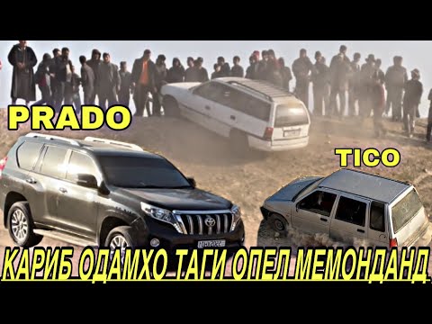 Видео: Мошин Гонка? Кариб Одамхо Таги Мошинхо Мемонданд | PRADO vs TICO OPEL