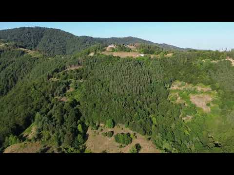 Видео: с.Река до с.Селище