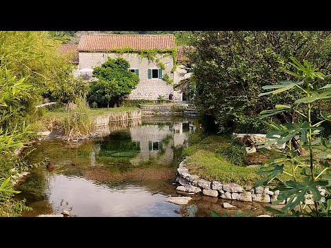 Видео: Черногория. Погуляем по красивой территории ресторана в Моринье. Montenegro.
