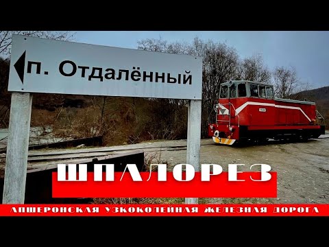 Видео: Шпалорез. Забытый поселок Апшеронской узкоколейки.