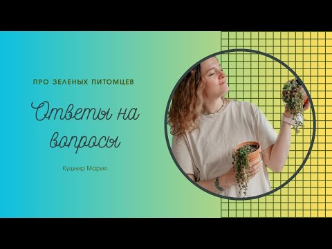 Видео: Ответы на вопросы про растения (2)