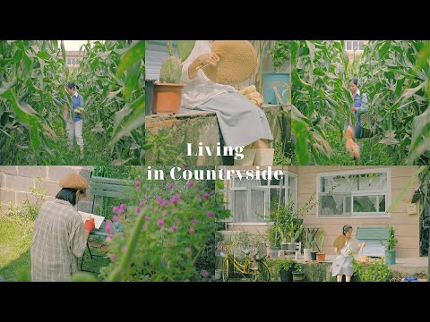 Видео: Сельская жизнь | 25-летняя девушка с 2 мальчиками | Hana Konichiwa