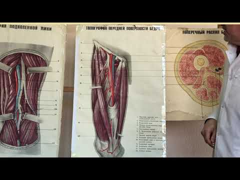 Видео: Бедро