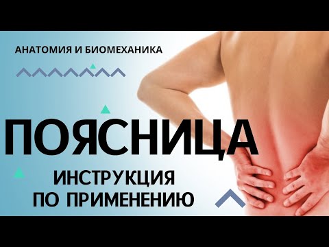 Видео: Поясница. Инструкция по применению.