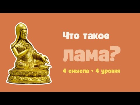 Видео: Что такое лама?