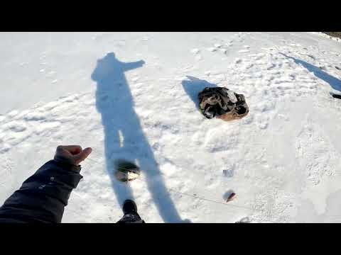 Видео: Рыбалка на налима.Трещины 18е мая.