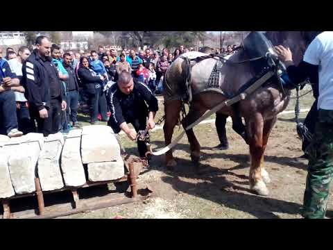 Видео: Гошо и Мая на Тодоров ден в Гоце Делчев 2019