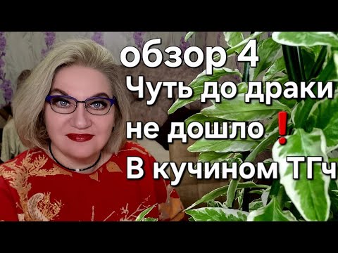 Видео: Чуть до драки не дошло❗️На кучином ТГч