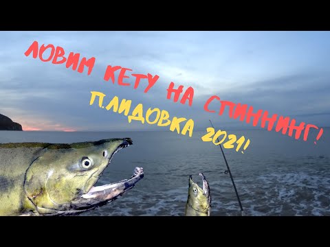 Видео: Ловля кеты на спиннинг! Ловим красную рыбу в море на удочку!