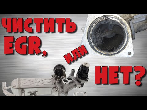 Видео: Какие EGR нет смысла чистить, и почему...