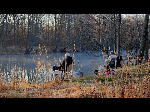 Видео: Открытие Сезона 2025! Рыбалка с Двумя Ночевками на Реке Друть. Подлещик и Густера на Фидер.