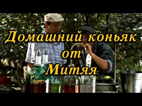Видео: Домашний коньяк от Митяя / Homemade cognac from Mitya