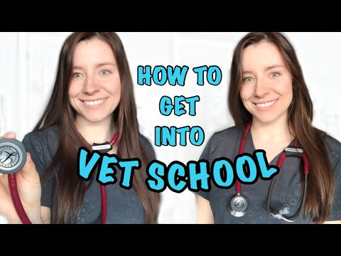 Видео: КАК Я ПОСТУПИЛ В ВЕТЕРИНАРНОЕ УЧЕБНОЕ ЗАВЕДЕНИЕ: Оценки + Опыт!