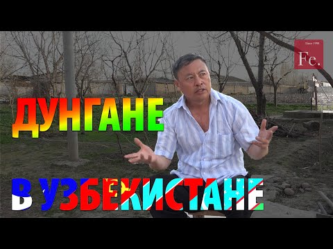 Видео: Дунгане Узбекистана