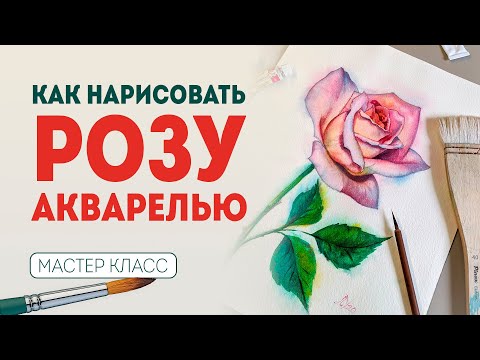 Видео: КАК НАРИСОВАТЬ РОЗУ? Цветы акварелью - мастер класс по рисованию.