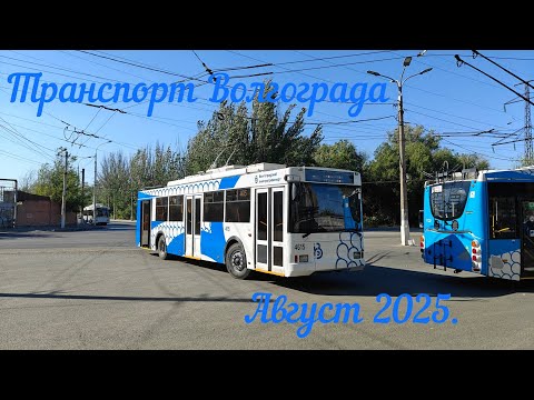 Видео: Транспорт Волгограда. Август 2025.