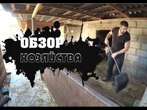 Видео: Небольшой обзор хозяйства,вопрос к подписчикам по сенорезке.