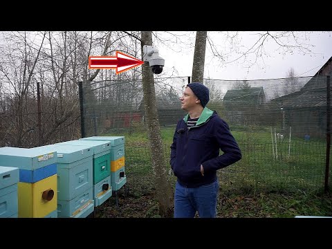 Видео: СЛЕЖУ за пасекой отовсюду. #ВидеонаблюдениеНаПасеке