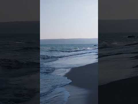 Видео: ВАРНА. БРИЗ.    МОРЕ СЕГОДНЯ 8.09.2925