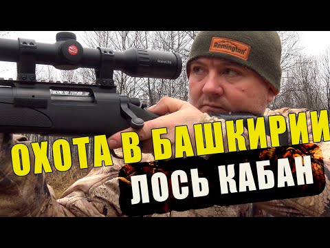 Видео: КЛАССНО ПООХОТИЛИСЬ НА ЛОСЯ И КАБАНА