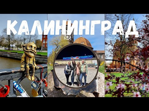 Видео: Калининград.Мамашки в бегах.Светлогорск,Зеленоградск.