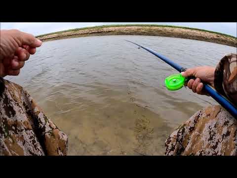 Видео: Килограммовые караси на р. Убаган. Мендыкаринский р-он.