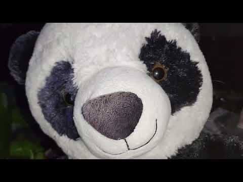 Видео: Находки и обновления с помоек за сентябрь 2025