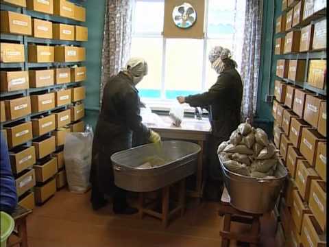 Видео: Фитоцентр "Прасковья"