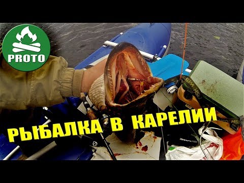 Видео: Походы в Карелии. Лесные озера. Рыбалка в Карелии