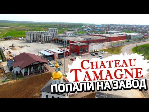 Видео: Экскурсия и дегустация на винзавод Шато Тамань | Chateau Tamagne Центр Энологии