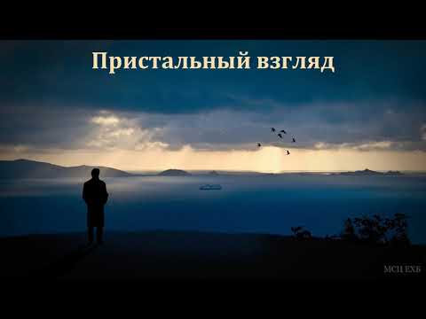 Видео: "Пристальный взгляд". В. Н. Чухонцев. МСЦ ЕХБ