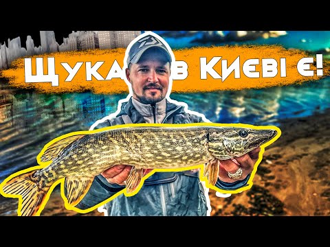 Видео: Чи клює щука в  Дніпрі: ловля щуки в Києві на джиг