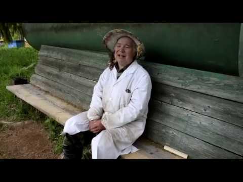 Видео: Промышленное пакетное производство среднерусской породы пчёл.