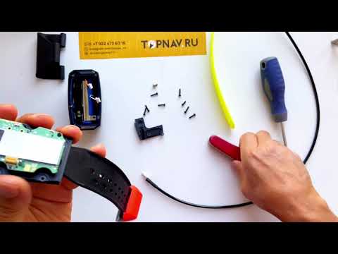 Видео: Разборка ошейника Garmin T5